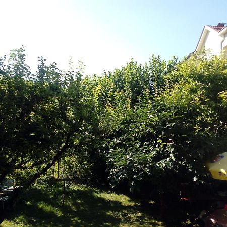 Vila Dudan Ohrid Esterno foto