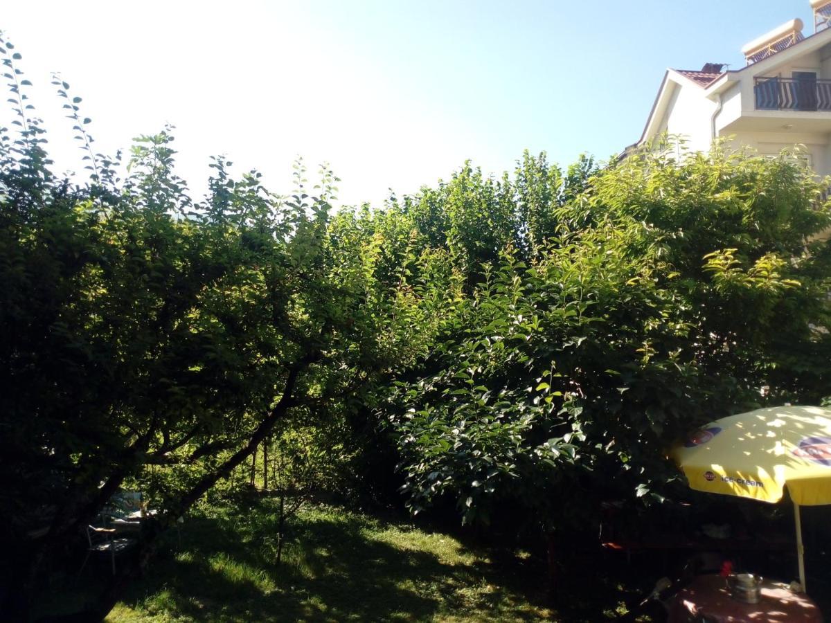 Vila Dudan Ohrid Esterno foto