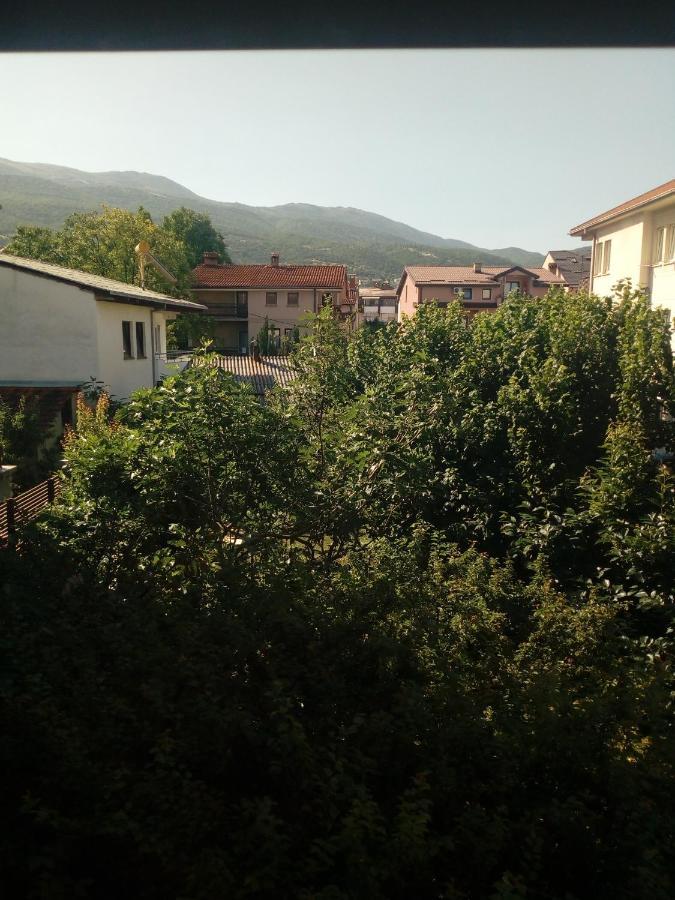 Vila Dudan Ohrid Esterno foto